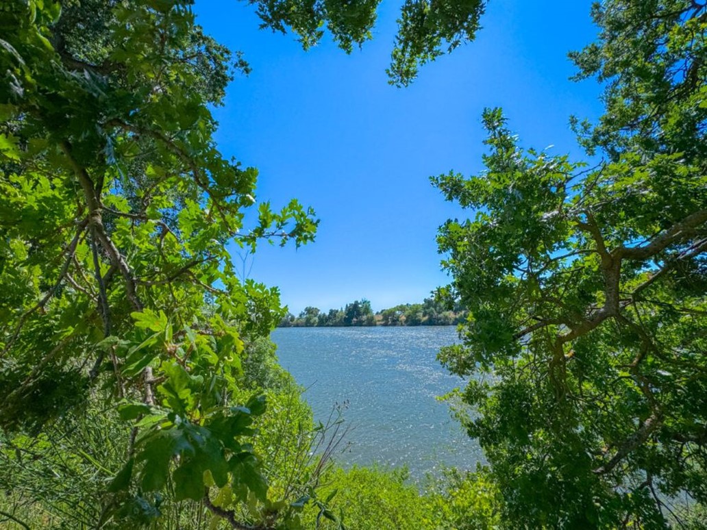 The Sacramento River